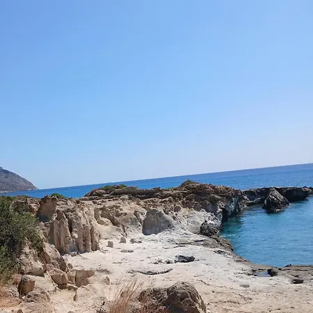 Livanos